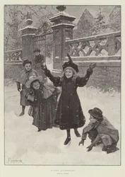 Mariposas de invierno